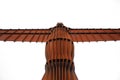 Torso of the Angel of the North