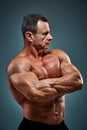 Torso of attractive male body builder on gray background. Royalty Free Stock Photo