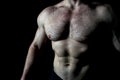 Torso muscular male body. Bodybuilder achievement great shape. naked torso. Chest six pack muscles looks impressing