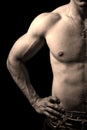 Torso of muscular man isolated on black Royalty Free Stock Photo