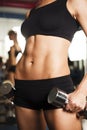 Torso of a young fit woman lifting dumbbells Royalty Free Stock Photo