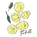 Tortelli and sage ink and color vector illustration. Traditional Italian dish. Type of pasta. Classic ravioli . Round