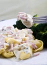 Tortellini with cream sauce