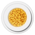 Tortellini dish, vector illustration, italian food