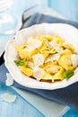 Tortellini with grana padano cheese Royalty Free Stock Photo