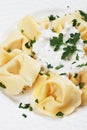 Tortellini pasta in cheese sauce Royalty Free Stock Photo