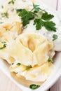 Tortellini pasta in cheese sauce Royalty Free Stock Photo