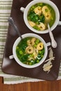 Tortellini Soup with Spinach Royalty Free Stock Photo