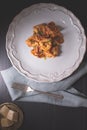 Tortellini with Tomato Sauce, Mozzarella Cheese and Basil Royalty Free Stock Photo