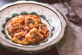 Tortellini with Tomato Sauce and Mozzarella Cheese Royalty Free Stock Photo