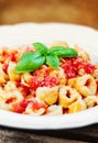 Tortellini with tomato sauce on a plate, decorated with basil Royalty Free Stock Photo