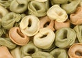 Tortellini tricolore pasta Royalty Free Stock Photo