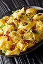 Tortelloni with bacon, cheese and green onions close-up in a plate. vertical