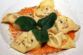 Tortelloni pasta Royalty Free Stock Photo