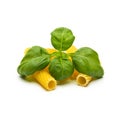 Tortiglioni pasta noodels with basil leaf Royalty Free Stock Photo