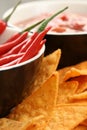 Tortilla chips Royalty Free Stock Photo