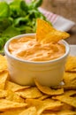 Tortilla chips Royalty Free Stock Photo