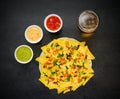 Tortilla Chips with Glass Beer and Guacamole Dip Royalty Free Stock Photo