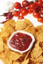 Tortilla chips with hot salsa dip Royalty Free Stock Photo
