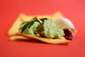 Tortilla chips with mexican guacamole