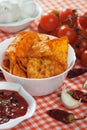 Tortilla chips slices Royalty Free Stock Photo