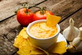 Tortilla chips with tomato and cheese-garlic dip Royalty Free Stock Photo