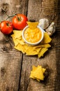 Tortilla chips with tomato and cheese-garlic dip Royalty Free Stock Photo