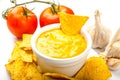 Tortilla chips with tomato and cheese-garlic dip Royalty Free Stock Photo