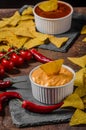 Tortilla chips with two dips Royalty Free Stock Photo