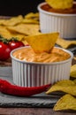 Tortilla chips with two dips Royalty Free Stock Photo