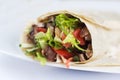 Tortilla with a delicious grilled meat and fresh mixed salad Royalty Free Stock Photo