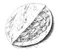 Tortilla delicious latin american food hand drawn engraving sketch Restaurant business concept Royalty Free Stock Photo