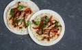 Tortilla with hummus, baked chicken and sweet pepper. On a dark background