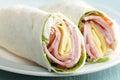 Tortilla roll-ups Royalty Free Stock Photo