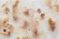 Tortilla Wrap Bread Royalty Free Stock Photo