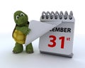 Tortoise with a calendar