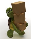 Tortoise Caricature Carrying Packing Carton