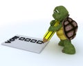 Tortoise casting a vote in election Royalty Free Stock Photo