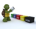 Tortoise casting a vote in election Royalty Free Stock Photo