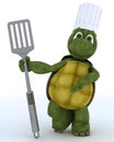 Tortoise chef with fish slice