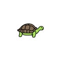 Tortoise colored vector icon on white background