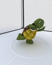 Tortoise competing in discus