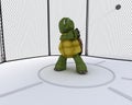 Tortoise competing in hammer throw