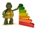 Tortoise with energy ratings Royalty Free Stock Photo