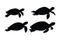 Tortoise full body silhouette collection. Wild turtle swimming in different positions. Sea creatures and reptiles like turtles, Royalty Free Stock Photo