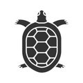 Tortoise glyph icon