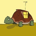 Tortoise house