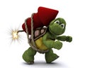 Tortoise lighting a firework Royalty Free Stock Photo