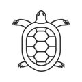 Tortoise linear icon