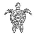 Tortoise ornate for your design